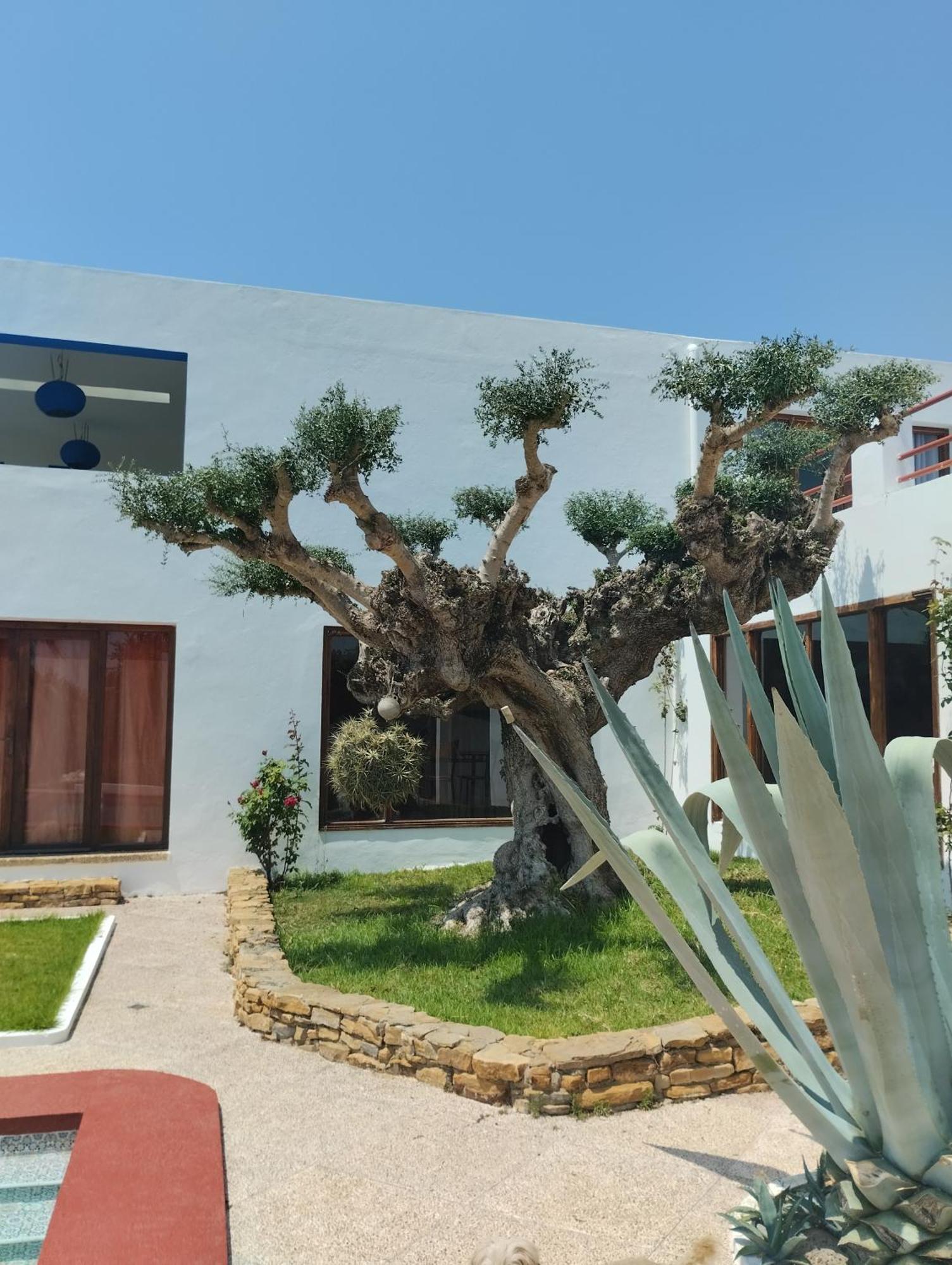 Villa Zahra Larache Exterior photo